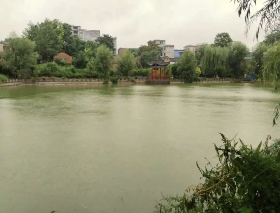 在杞县，一个普通打工人的早市烟火气-杞县慢生活